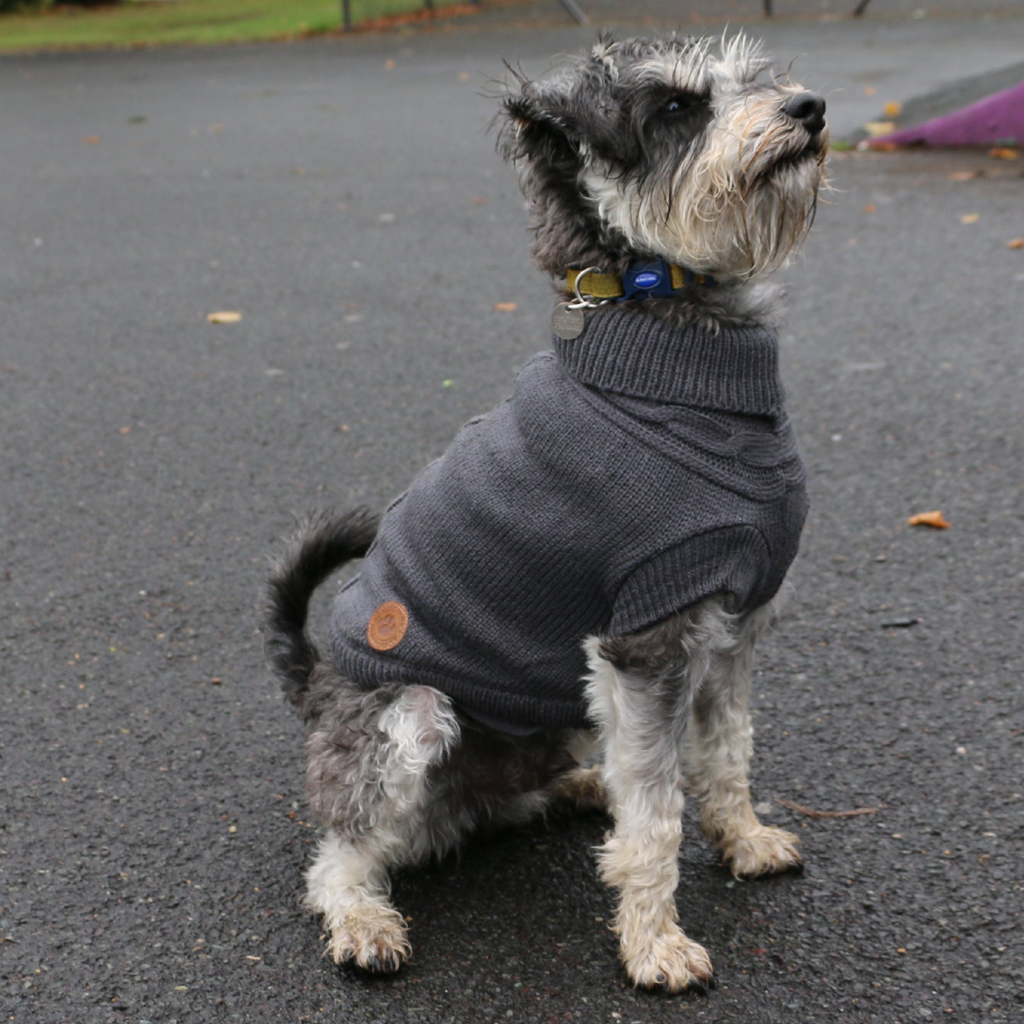 Ancol Cable Knit Dog Jumper