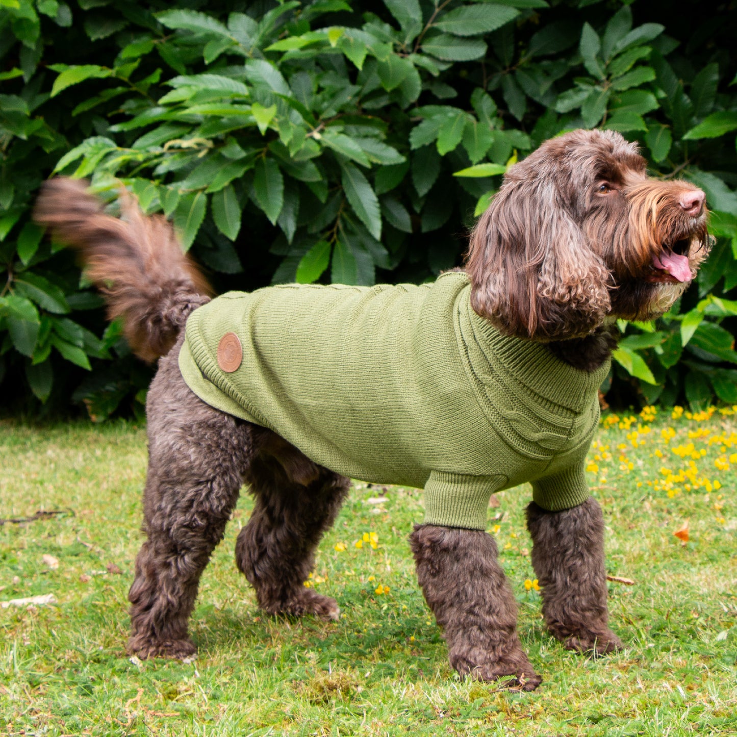 Ancol Cable Knit Dog Jumper