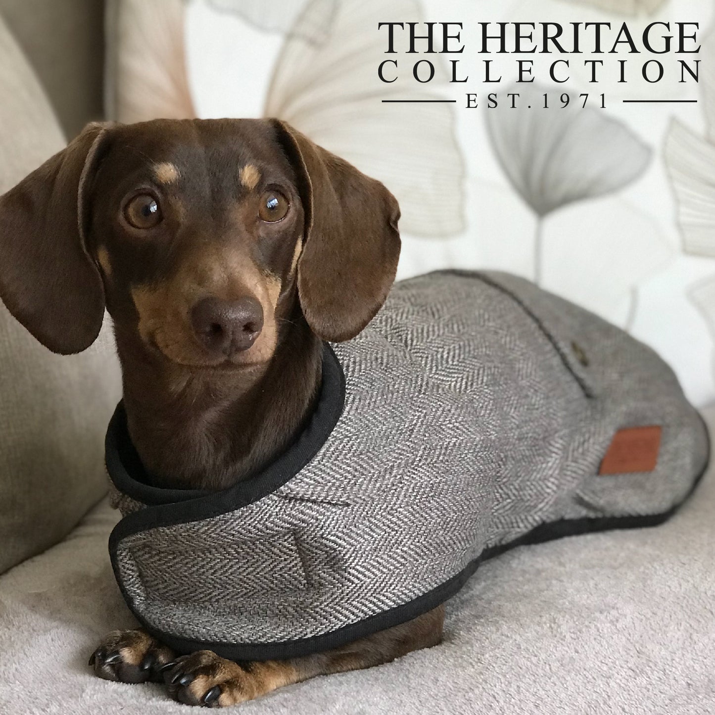 Heritage Herringbone Dog Coat