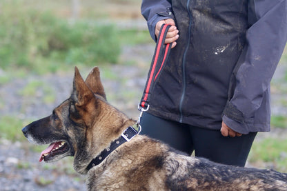 Cushion Air Web Traffic Lead/Short Lead