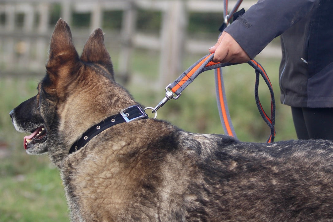 Cushion Web Multi-Lead