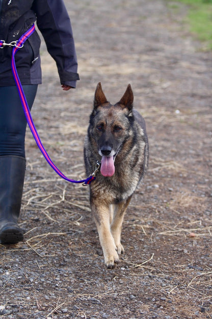 Cushion Web Double Ended Training Lead