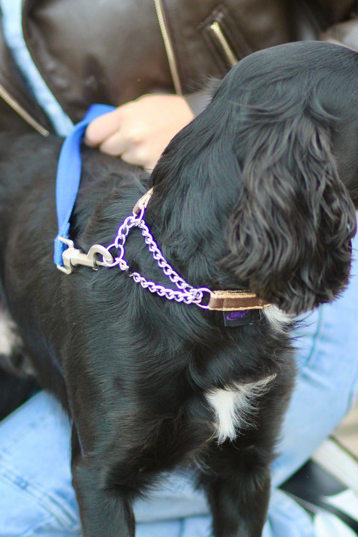 Check Chain Collar