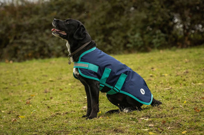 Waterproof Dog Coat - Navy