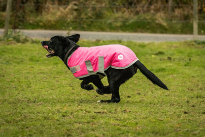 Waterproof Dog Coat - Pink