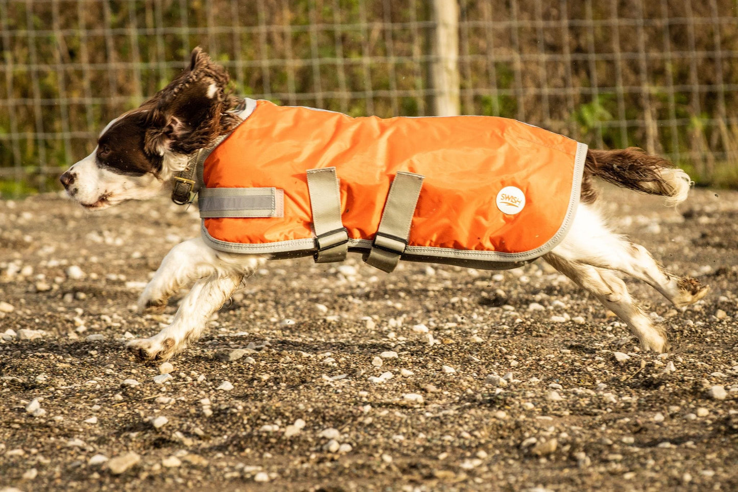 Waterproof Dog Coat - Orange