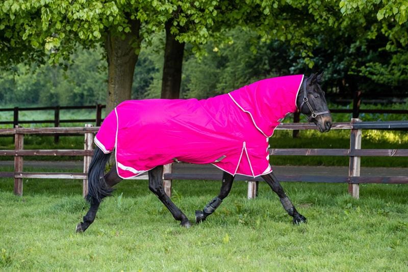 Tack Rug 100g Detachable Neck Turnout Rug - Pink – Libbys Horse Tack and Dog Leads