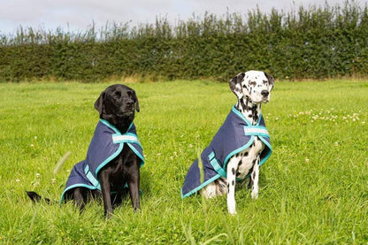Waterproof Dog Coat - Navy
