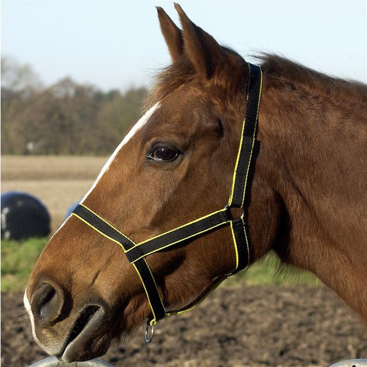 Field Safe Headcollar