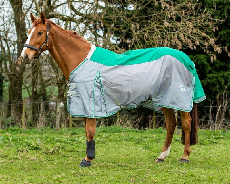 Fly Turnout Combination Rug (NYLON) - Green