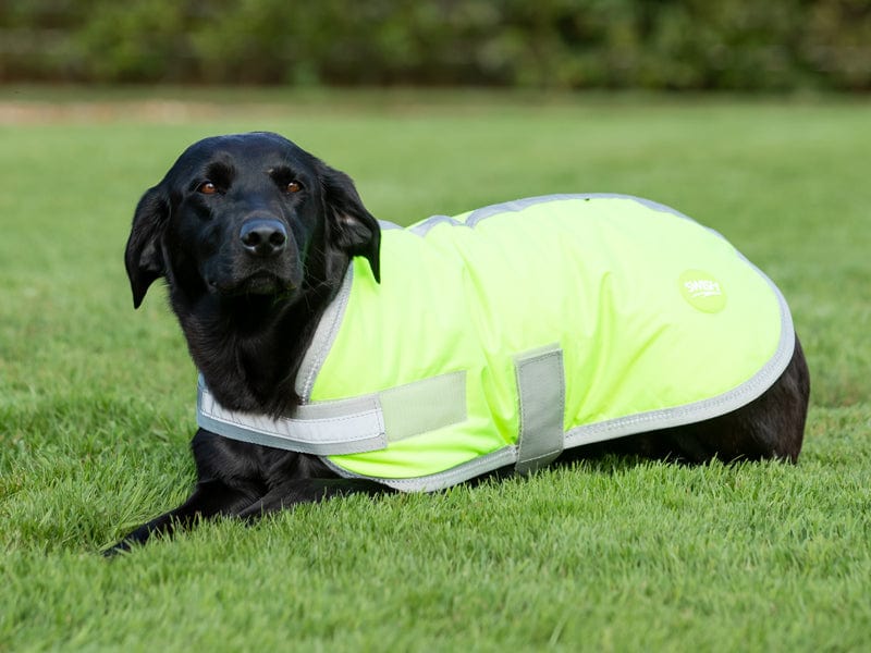 Waterproof Dog Coat - High Viz Yellow