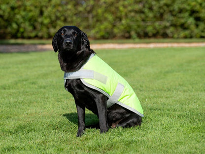 Waterproof Dog Coat - High Viz Yellow