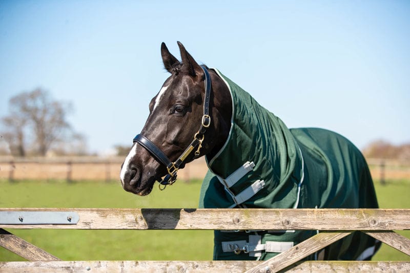 100g Detachable Neck Turnout Rug - Hunter Green