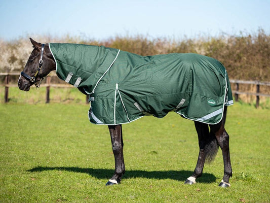 100g Detachable Neck Turnout Rug - Hunter Green
