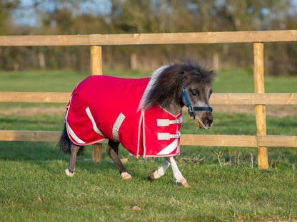 MINI 200g Turnout Rug - Red