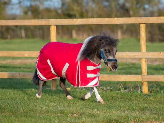 MINI 200g Turnout Rug - Red