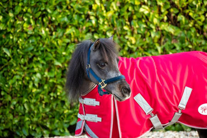 MINI 200g Turnout Rug - Red