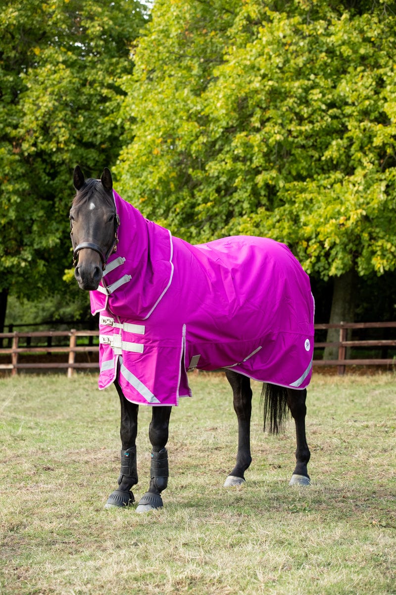 50g Detachable Neck Turnout Rug - Mulberry