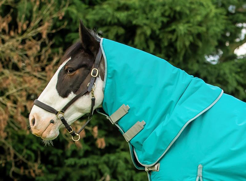 100g Peppermint Turnout Rug Neck Cover