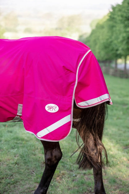 200g Detachable Neck Turnout Rug - Pink