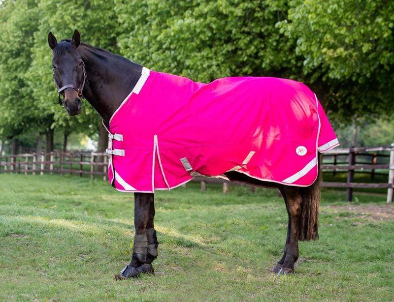 50g Detachable Neck Turnout Rug - Pink