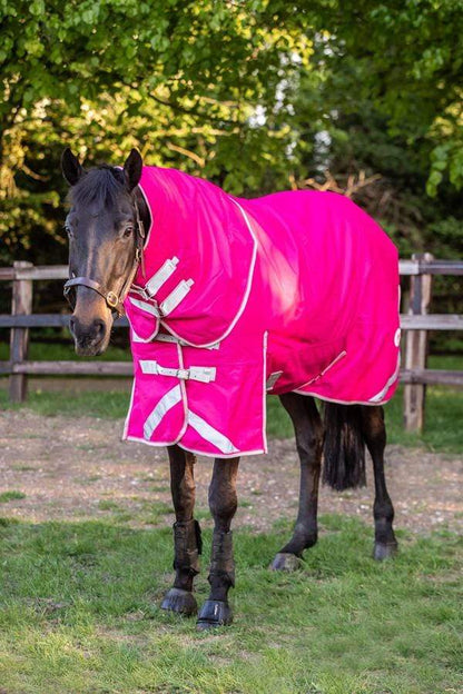 50g Detachable Neck Turnout Rug - Pink