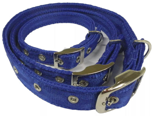 Libbys Webbing Metal Buckle Dog Collar