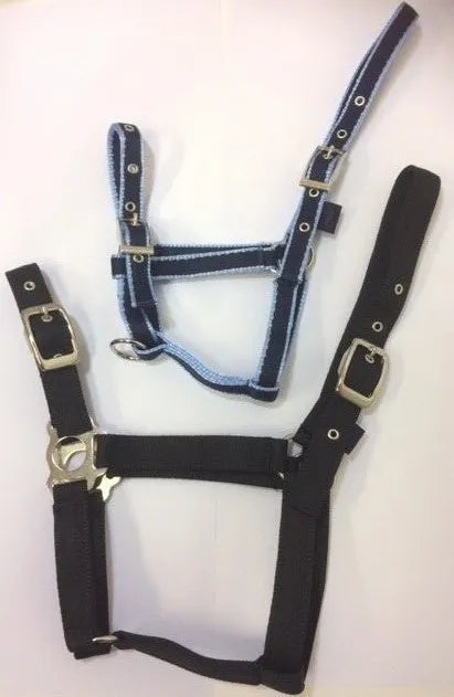 Standard Headcollar