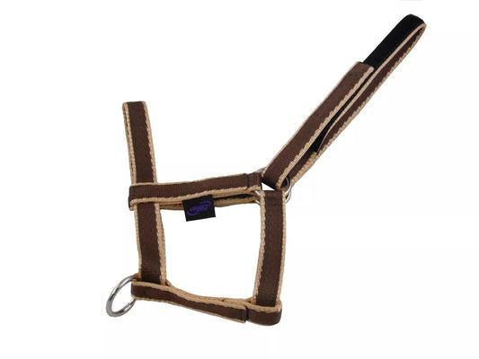 Foal Fieldsafe Headcollar