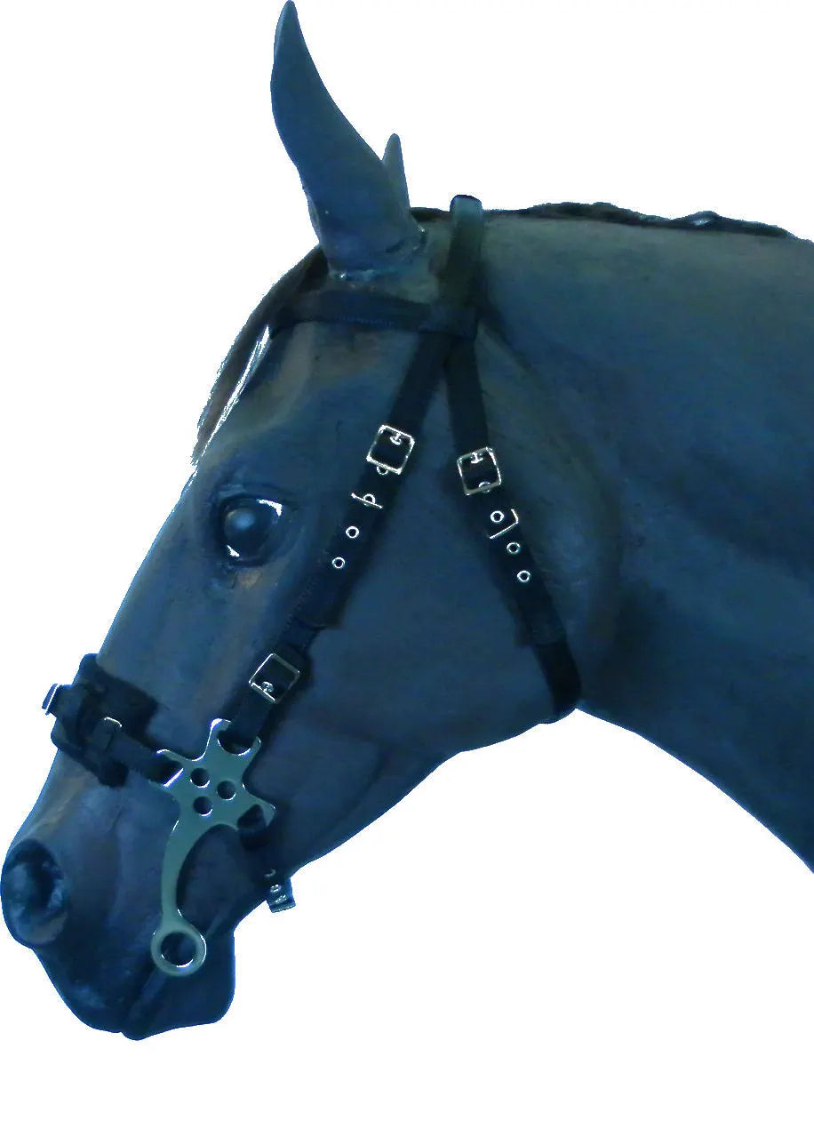 Hackamore Bitless Bridle