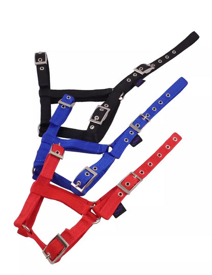 Foal Headcollar
