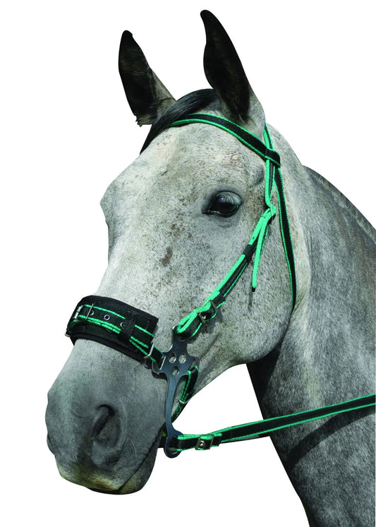 Hackamore Bitless Bridle