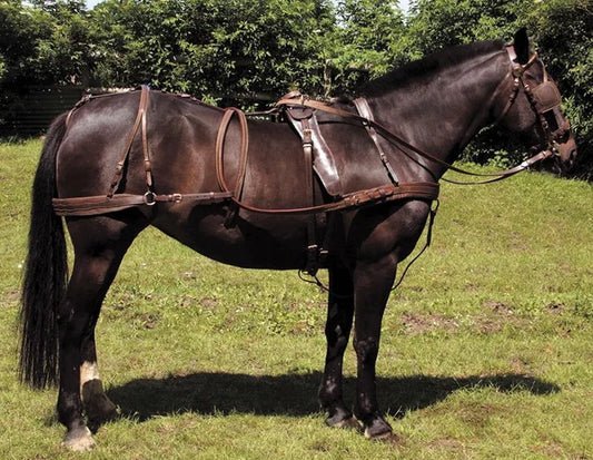 Leather Driving Harness