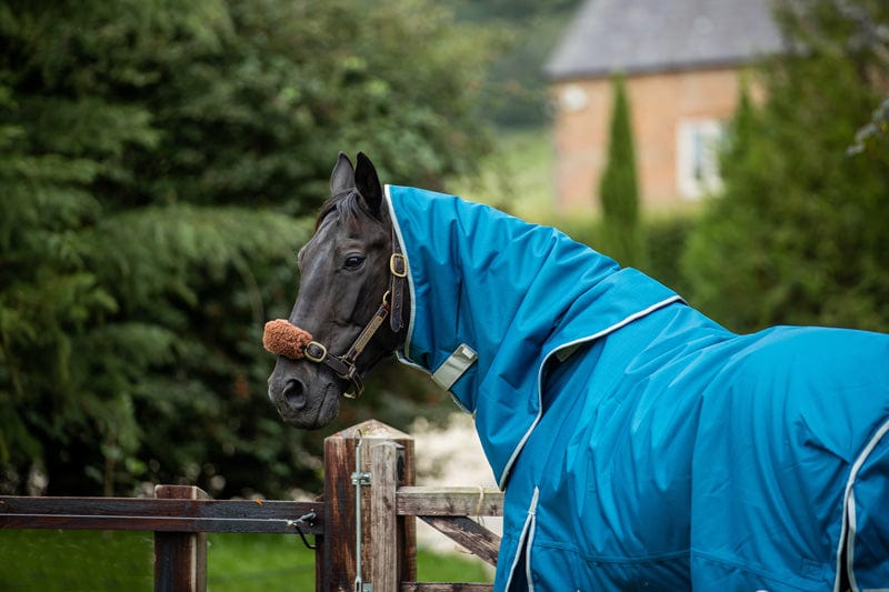 0g Detachable Neck Turnout Rug - Turquoise