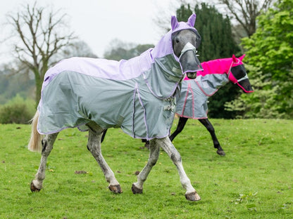 Fly Turnout Combination Rug (NYLON) - Violet