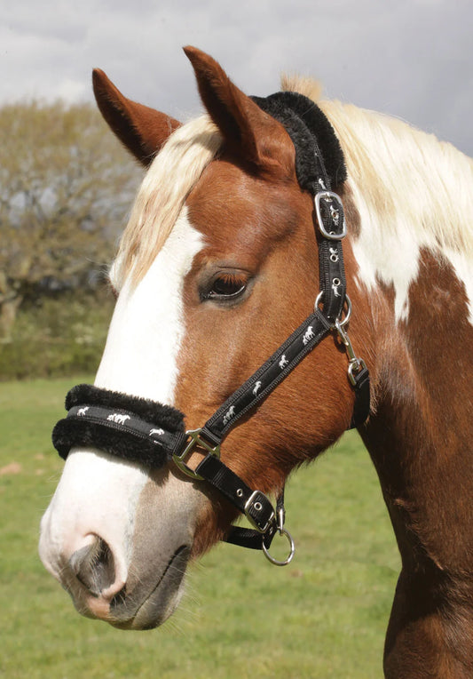 Fleece Trim Padded Headcollar